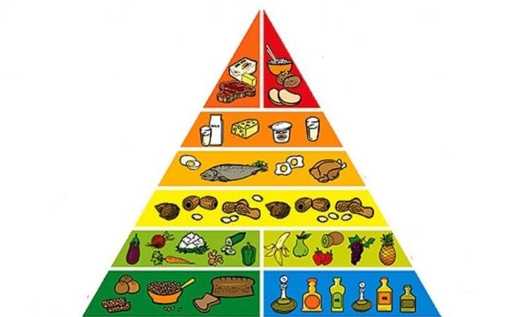 Food pyramid for losing weight